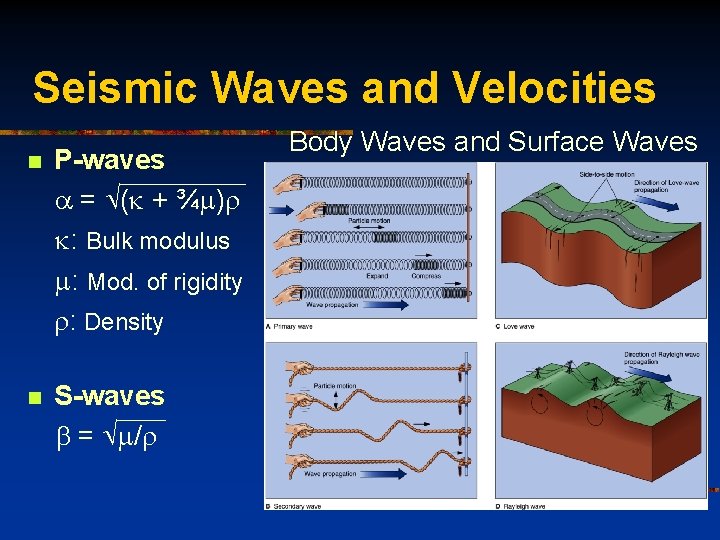 Seismic Waves and Velocities n P-waves a = (k + ¾m)r k: Bulk modulus