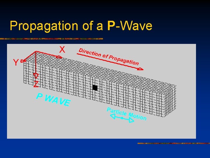 Propagation of a P-Wave 