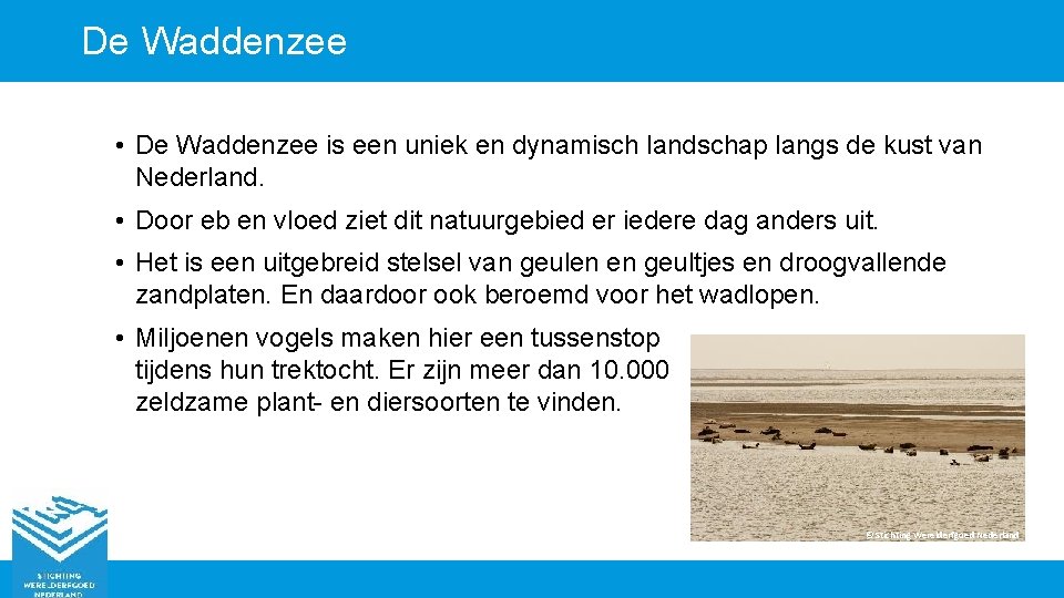De Waddenzee • De Waddenzee is een uniek en dynamisch landschap langs de kust