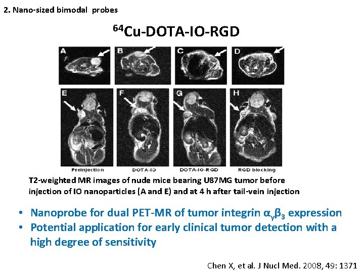 2. Nano-sized bimodal probes 64 Cu-DOTA-IO-RGD T 2 -weighted MR images of nude mice