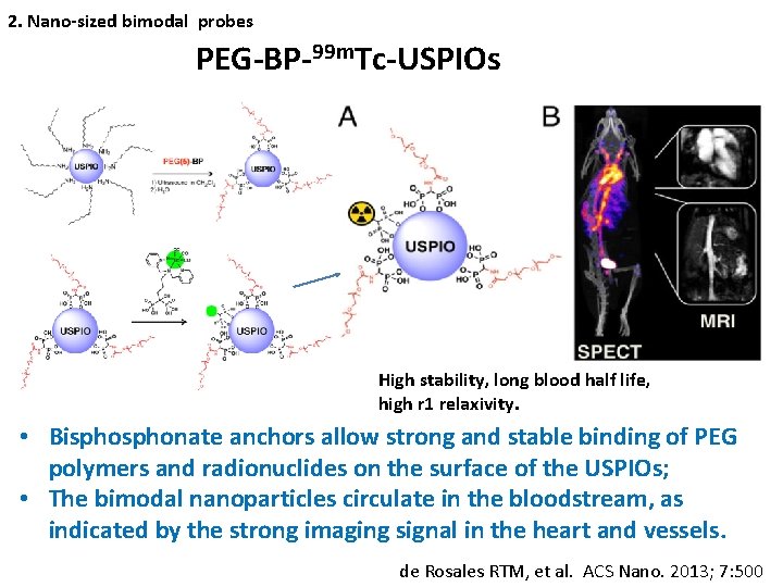 2. Nano-sized bimodal probes PEG-BP-99 m. Tc-USPIOs High stability, long blood half life, high