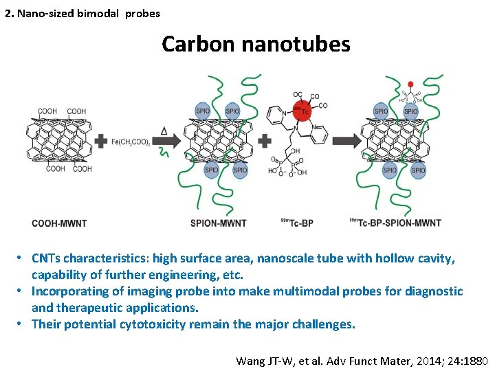 2. Nano-sized bimodal probes Carbon nanotubes • CNTs characteristics: high surface area, nanoscale tube