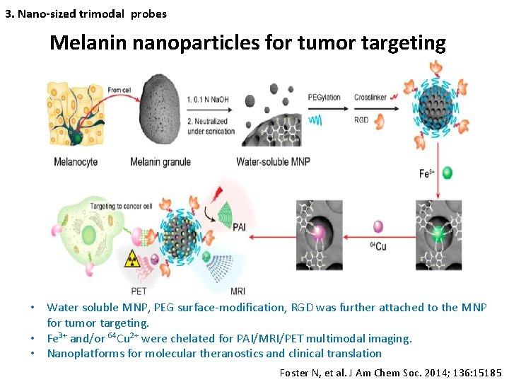 3. Nano-sized trimodal probes Melanin nanoparticles for tumor targeting • Water soluble MNP, PEG