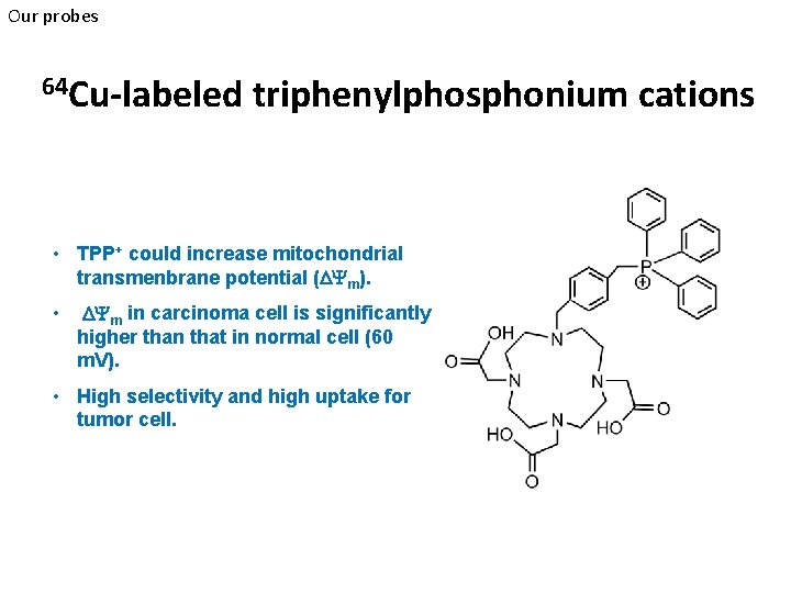 Our probes 64 Cu-labeled triphenylphosphonium cations • TPP+ could increase mitochondrial transmenbrane potential (