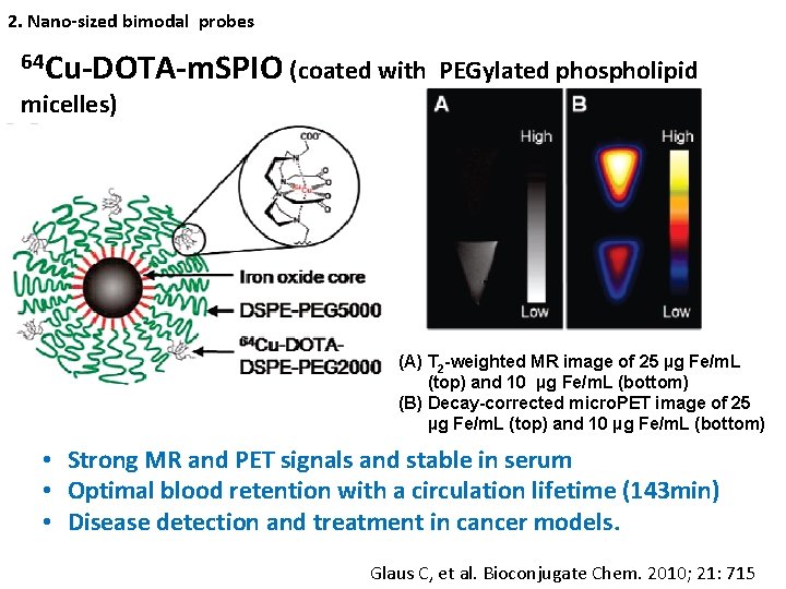 2. Nano-sized bimodal probes 64 Cu-DOTA-m. SPIO (coated with PEGylated phospholipid micelles) (A) T