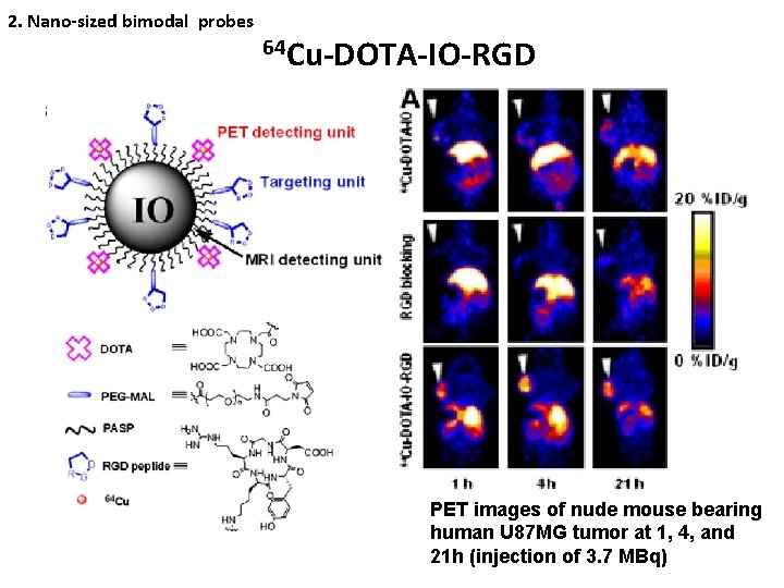 2. Nano-sized bimodal probes 64 Cu-DOTA-IO-RGD PET images of nude mouse bearing human U