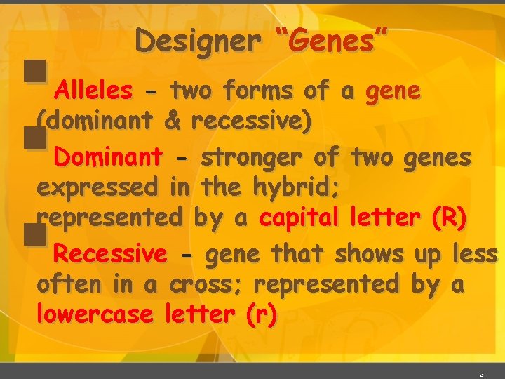§ § § Designer “Genes” Alleles - two forms of a gene (dominant &