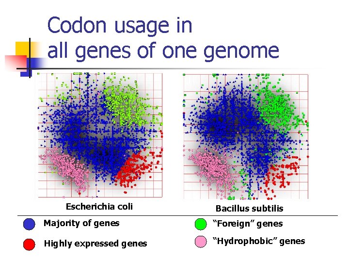 Codon usage in all genes of one genome Escherichia coli Bacillus subtilis Majority of