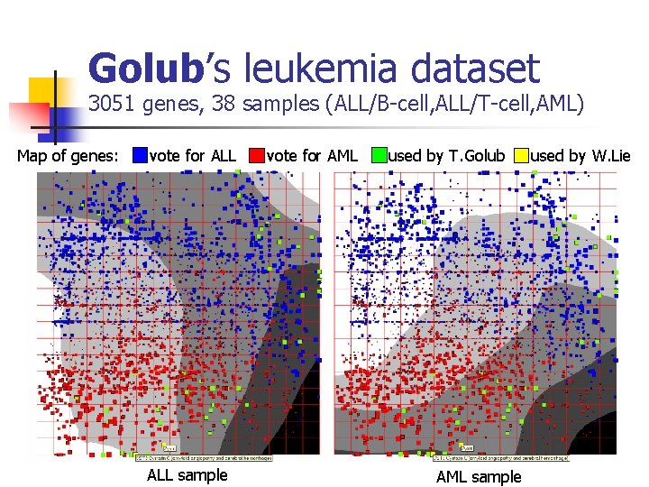Golub’s leukemia dataset 3051 genes, 38 samples (ALL/B-cell, ALL/T-cell, AML) Map of genes: vote