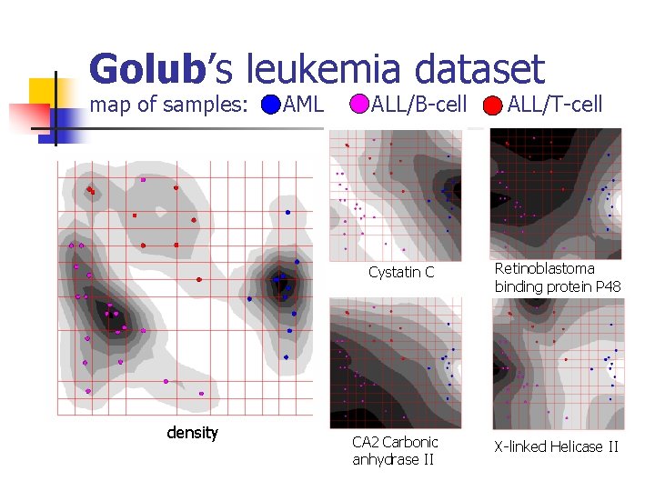 Golub’s leukemia dataset map of samples: AML ALL/B-cell Cystatin C density CA 2 Carbonic