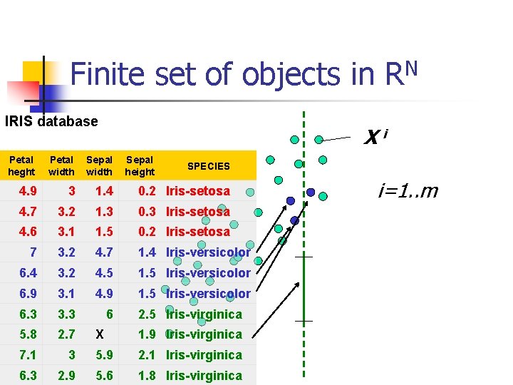 Finite set of objects in RN IRIS database Xi Petal heght Petal width Sepal