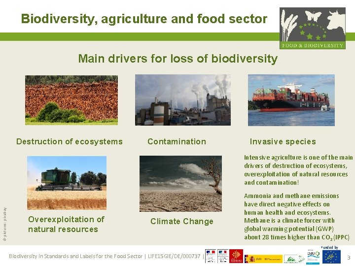 Biodiversity, agriculture and food sector Main drivers for loss of biodiversity Destruction of ecosystems