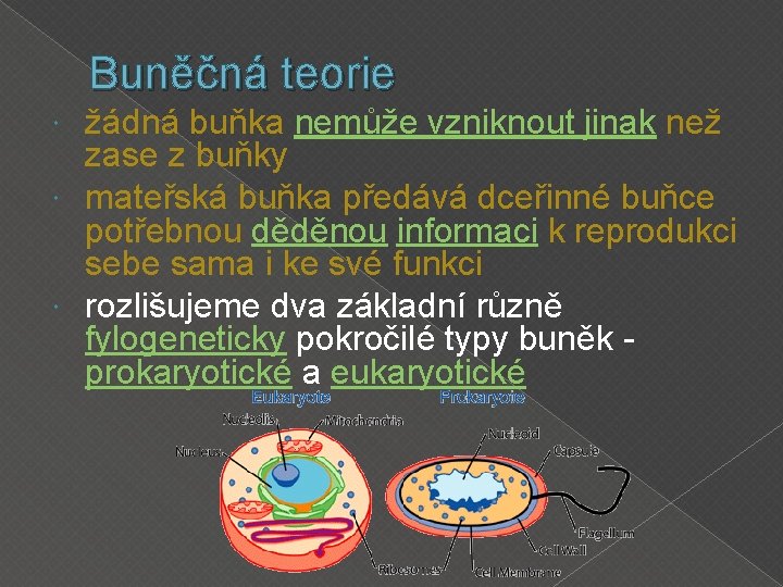 Buněčná teorie žádná buňka nemůže vzniknout jinak než zase z buňky mateřská buňka předává