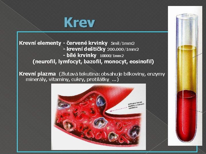 Krevní elementy - červené krvinky 5 mil/1 mm 2 - krevní deštičky 200. 000/1