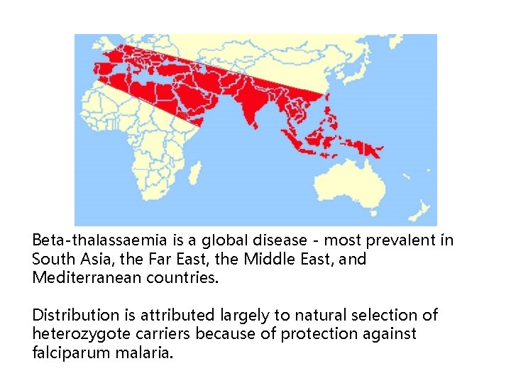 Beta-thalassaemia is a global disease - most prevalent in South Asia, the Far East,