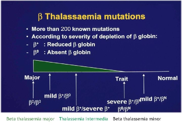 Beta thalassemia major Thalassemia Intermedia Beta thalassemia minor 