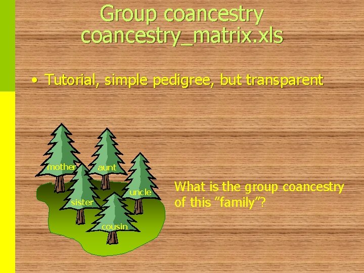 Group coancestry_matrix. xls • Tutorial, simple pedigree, but transparent mother aunt uncle sister cousin