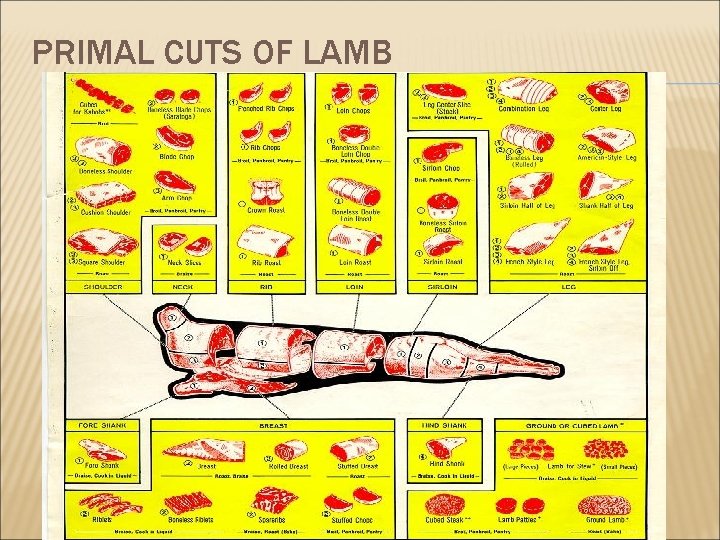 PRIMAL CUTS OF LAMB 