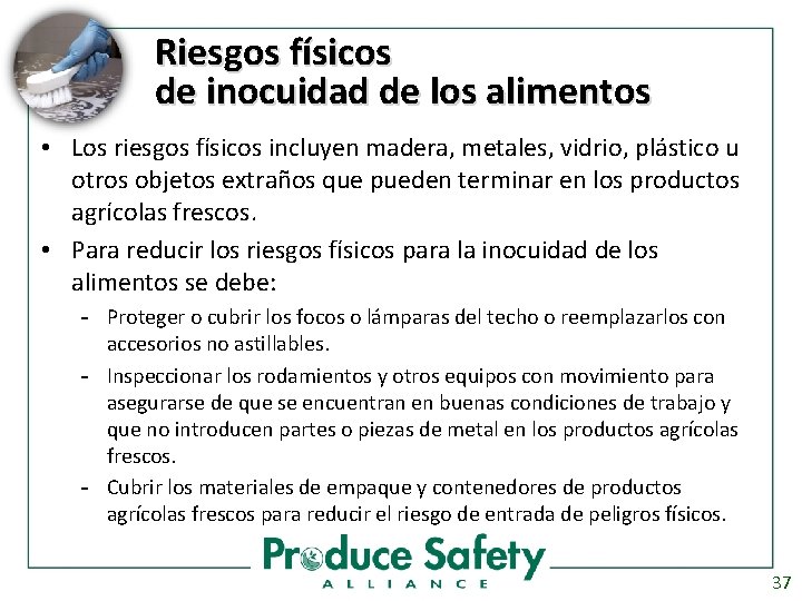 Riesgos físicos de inocuidad de los alimentos • Los riesgos físicos incluyen madera, metales,