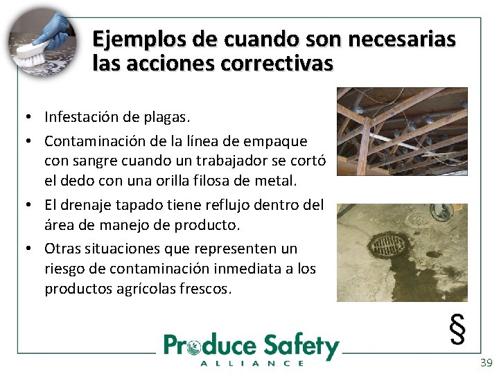 Ejemplos de cuando son necesarias las acciones correctivas • Infestación de plagas. • Contaminación