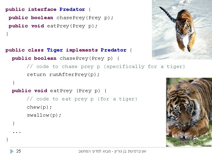 public interface Predator { public boolean chase. Prey(Prey p); public void eat. Prey(Prey p);