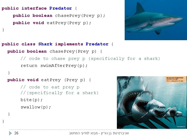 public interface Predator { public boolean chase. Prey(Prey p); public void eat. Prey(Prey p);