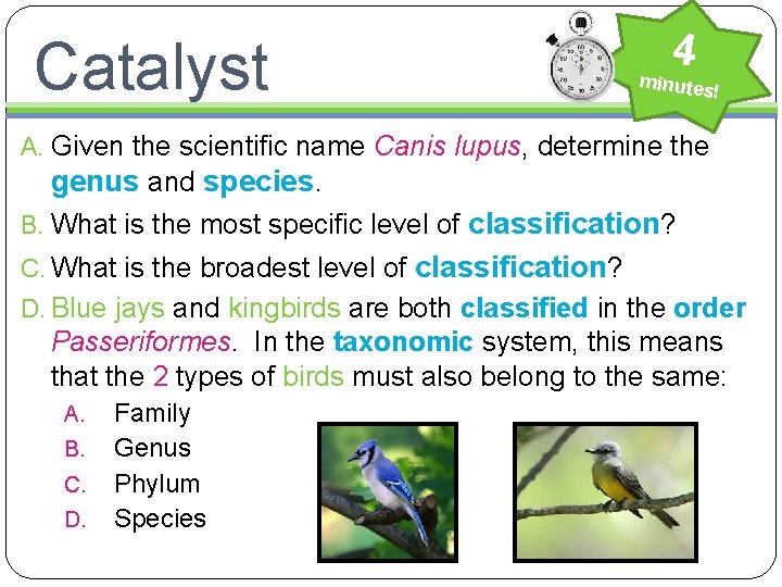 Catalyst 4 minutes ! A. Given the scientific name Canis lupus, determine the genus