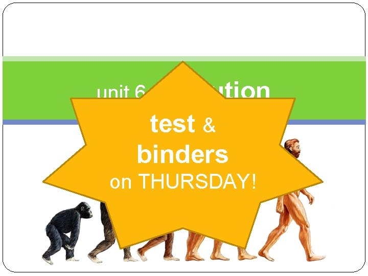 unit 6: evolution test & binders on THURSDAY! 
