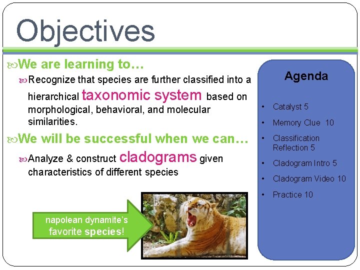Objectives We are learning to… Agenda Recognize that species are further classified into a