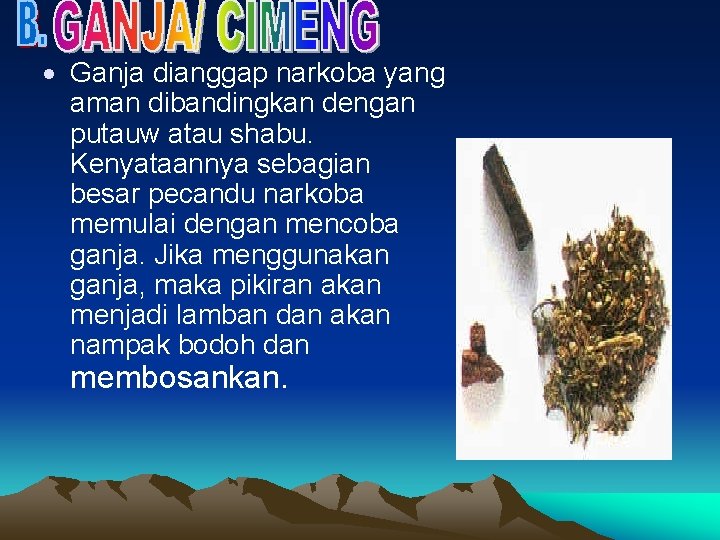  Ganja dianggap narkoba yang aman dibandingkan dengan putauw atau shabu. Kenyataannya sebagian besar