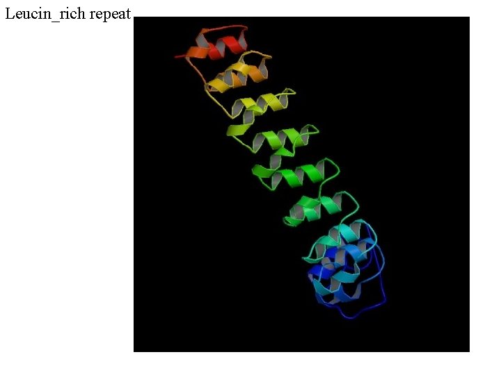 Leucin_rich repeat 