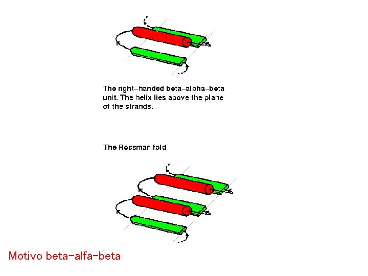 Motivo beta-alfa-beta 