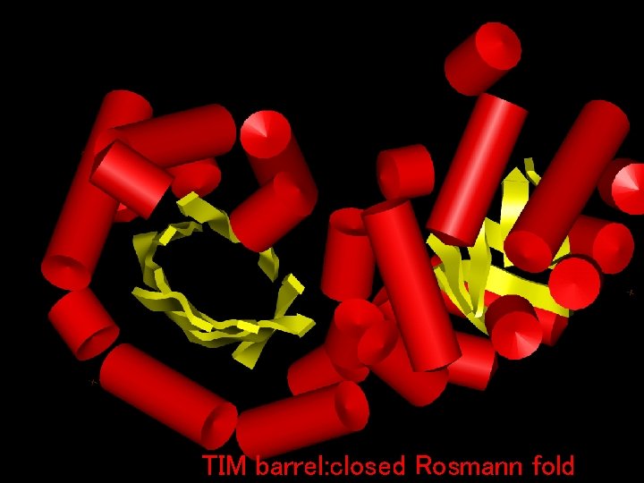 TIM barrel: closed Rosmann fold 