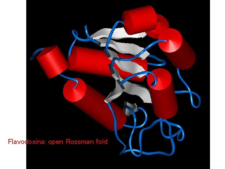 Flavodoxina: open Rossman fold 