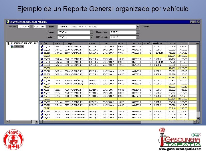Ejemplo de un Reporte General organizado por vehículo 