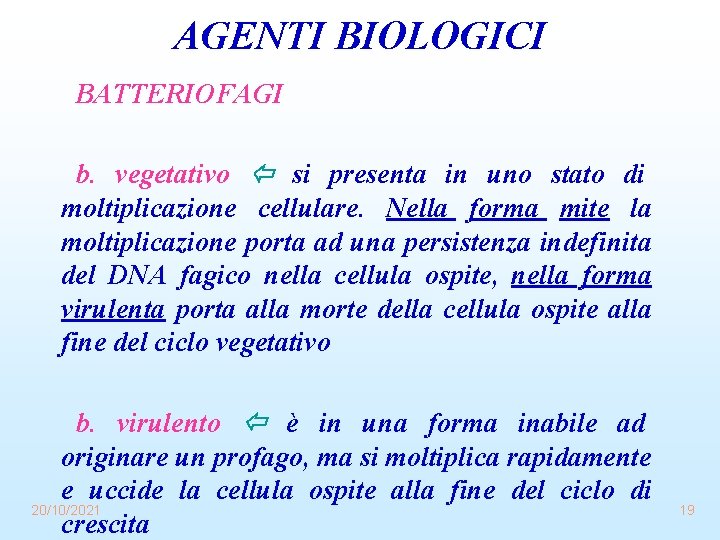 AGENTI BIOLOGICI BATTERIOFAGI b. vegetativo si presenta in uno stato di moltiplicazione cellulare. Nella