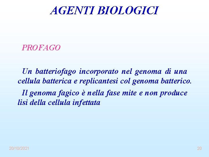 AGENTI BIOLOGICI PROFAGO Un batteriofago incorporato nel genoma di una cellula batterica e replicantesi