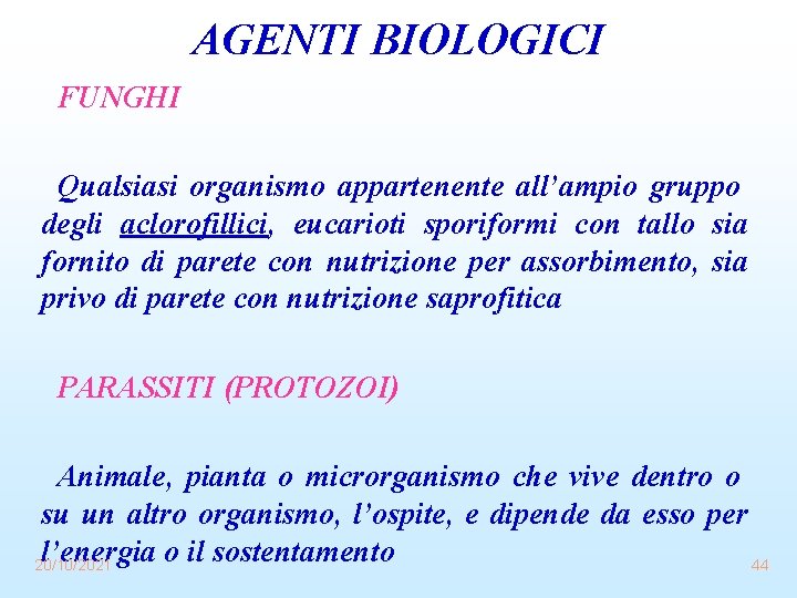 AGENTI BIOLOGICI FUNGHI Qualsiasi organismo appartenente all’ampio gruppo degli aclorofillici, eucarioti sporiformi con tallo