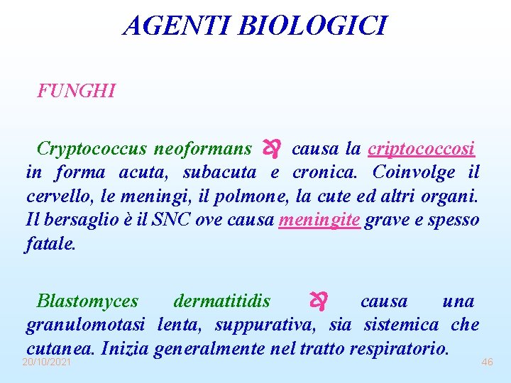 AGENTI BIOLOGICI FUNGHI Cryptococcus neoformans causa la criptococcosi in forma acuta, subacuta e cronica.