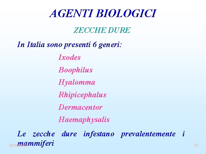 AGENTI BIOLOGICI ZECCHE DURE In Italia sono presenti 6 generi: Ixodes Boophilus Hyalomma Rhipicephalus