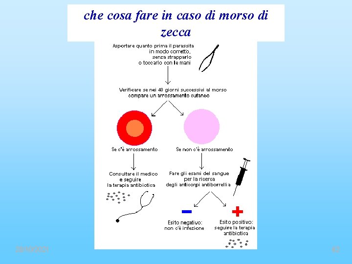 che cosa fare in caso di morso di zecca 20/10/2021 62 