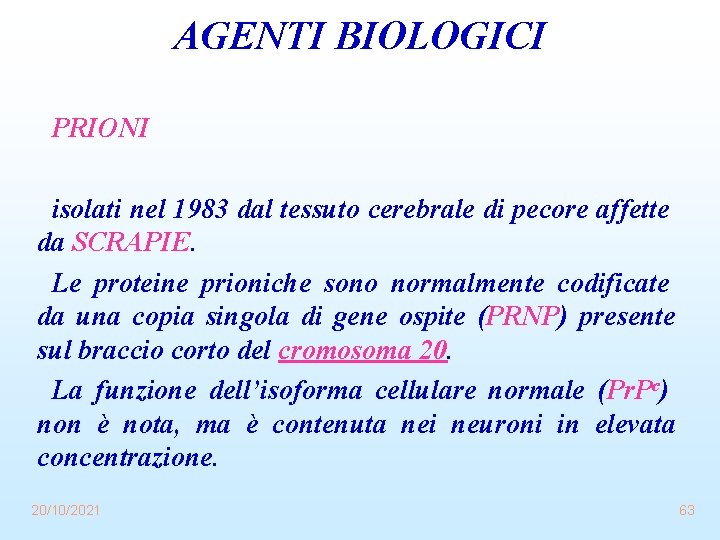 AGENTI BIOLOGICI PRIONI isolati nel 1983 dal tessuto cerebrale di pecore affette da SCRAPIE.