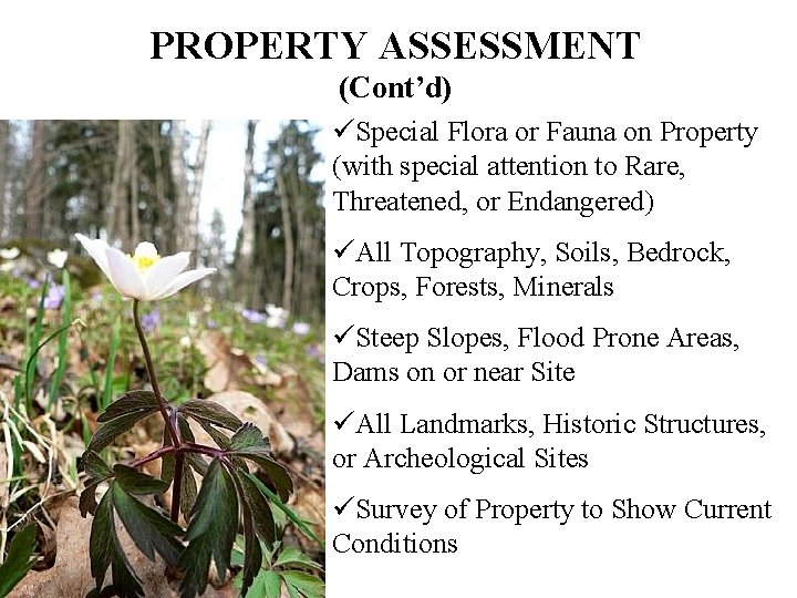 PROPERTY ASSESSMENT (Cont’d) üSpecial Flora or Fauna on Property (with special attention to Rare,