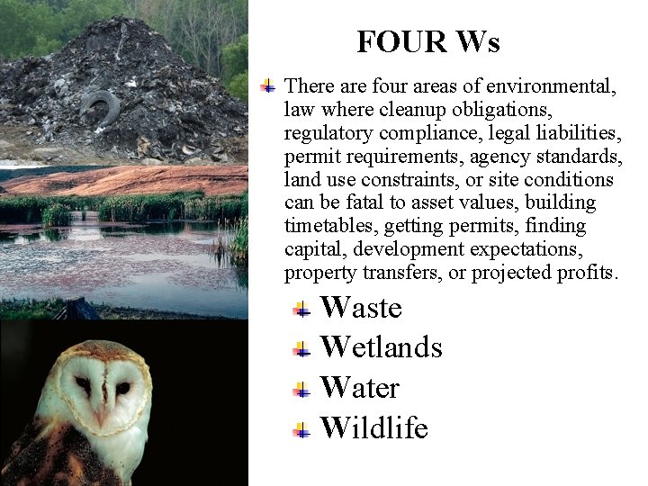 FOUR Ws There are four areas of environmental, law where cleanup obligations, regulatory compliance,