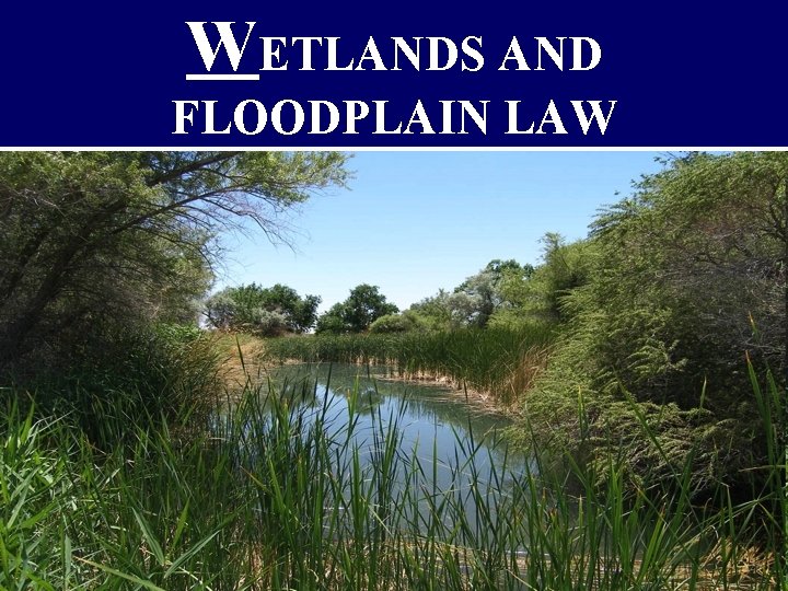 WETLANDS AND FLOODPLAIN LAW 