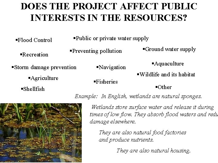 DOES THE PROJECT AFFECT PUBLIC INTERESTS IN THE RESOURCES? §Flood Control §Recreation §Public or
