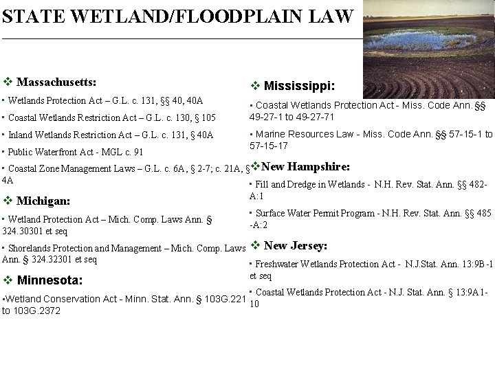 STATE WETLAND/FLOODPLAIN LAW _____________________________________________________ v Massachusetts: v Mississippi: • Wetlands Protection Act – G.