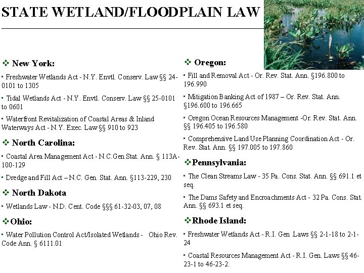 STATE WETLAND/FLOODPLAIN LAW _____________________________________________________ v New York: v Oregon: • Freshwater Wetlands Act -