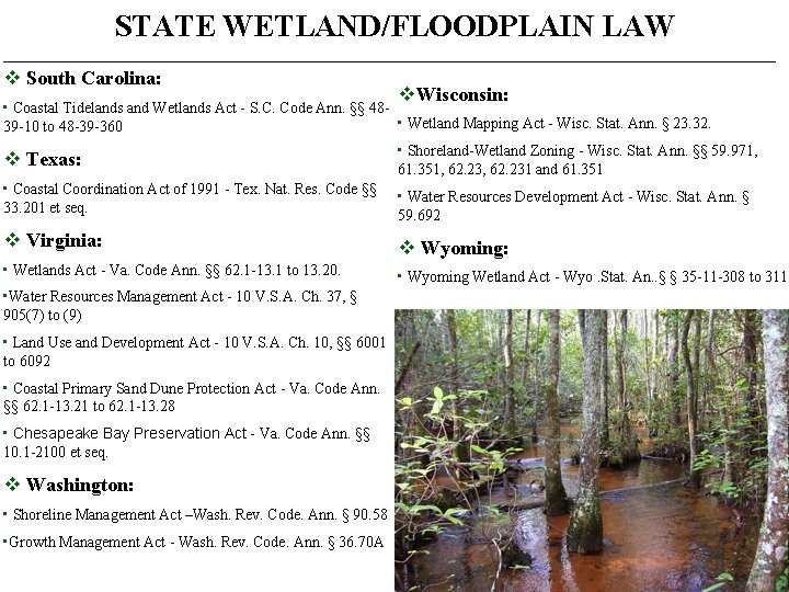 STATE WETLAND/FLOODPLAIN LAW _______________________________________________________________________ v South Carolina: v. Wisconsin: • Coastal Tidelands and Wetlands
