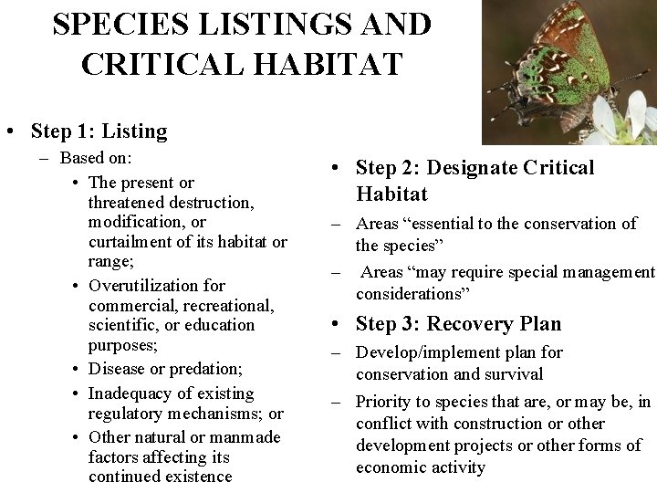 SPECIES LISTINGS AND CRITICAL HABITAT • Step 1: Listing – Based on: • The